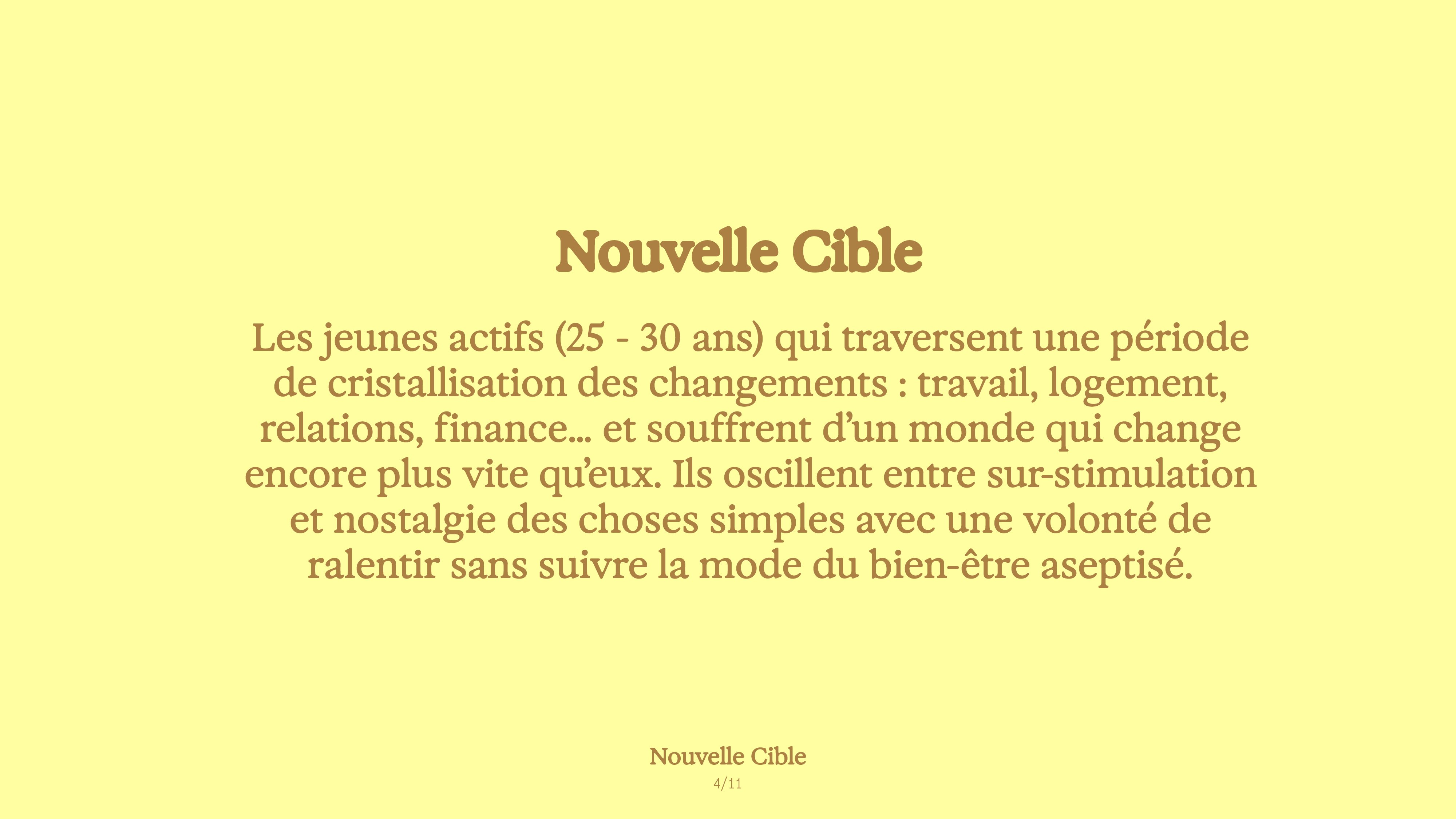 copie stratégie mise en page-05